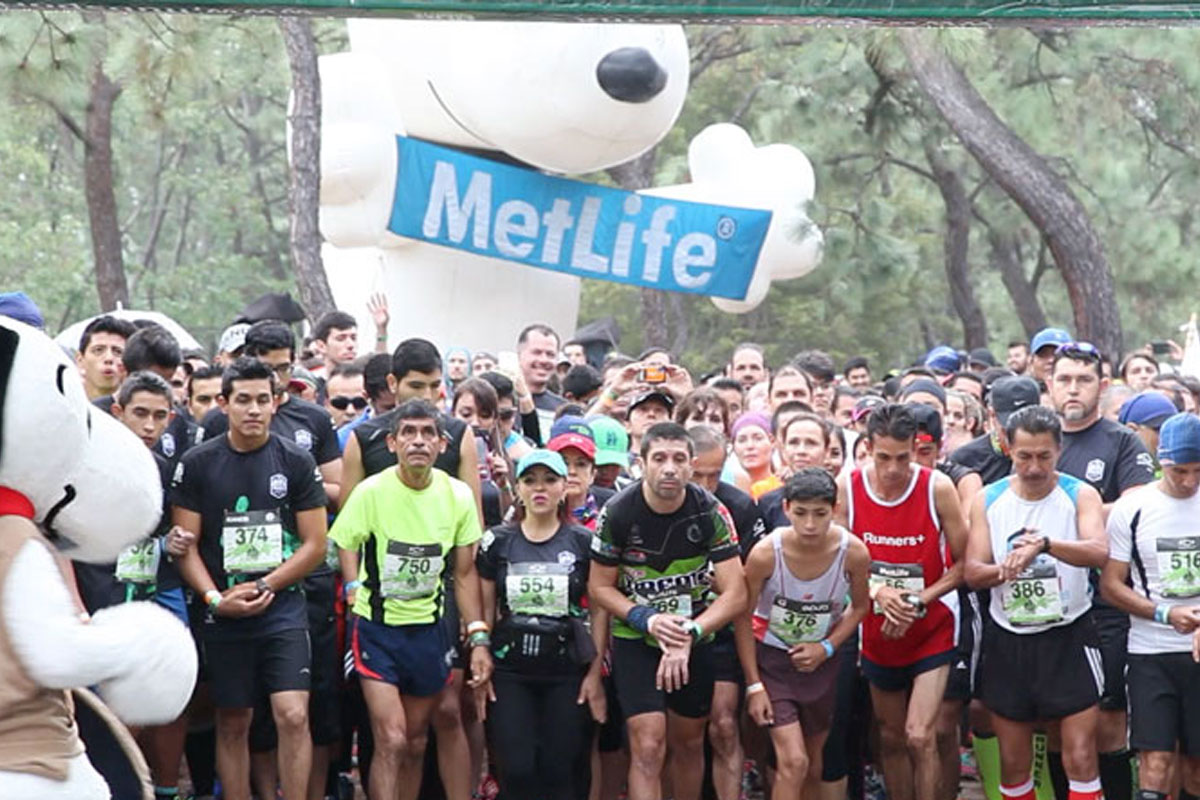 MetLife Trail Race